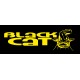 BLACK CAT