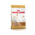 CROQUETTES ROYAL CANIN LABRADOR ADULTE