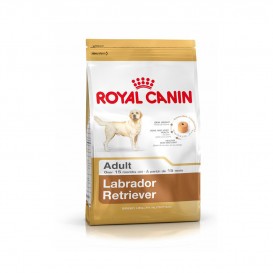 CROQUETTES ROYAL CANIN...