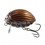 LEURRE BASS BUG 5.5CM