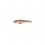 LEURRE CWC BUSTER JERK 75G
