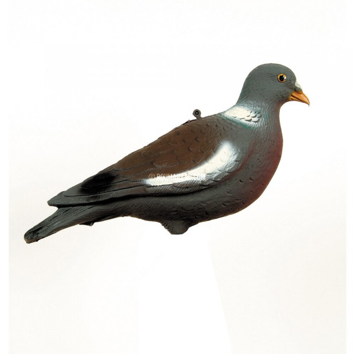 Forme appelant pigeon ramier palombe