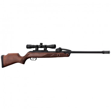 Pack carabine a plomb gamo fast shot 10x igt lunette 4 x 3