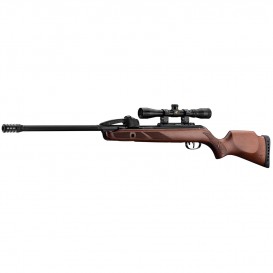 PACK CARABINE A PLOMB GAMO FAST SHOT 10X IGT + LUNETTE 4 X 32 WR