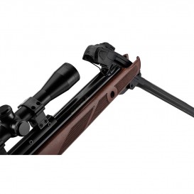 PACK CARABINE A PLOMB GAMO FAST SHOT 10X IGT + LUNETTE 4 X 32 WR