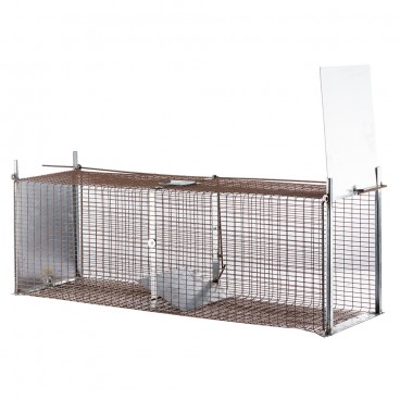 BOITE FAUVES RENARD 2 ENTREES