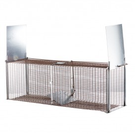 BOITE FAUVES RENARD 2 ENTREES