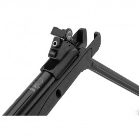 CARABINE A PLOMB GAMO DELTA BLACK