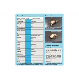APPATS CRABES VERTS OU FAVOUILLES READYX