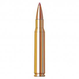 MUNITIONS BALLES HORNADY 243W SUPERFORMANCE SST 80463