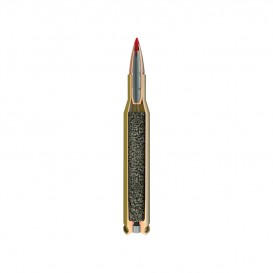 MUNITIONS BALLES HORNADY 243W SUPERFORMANCE SST 80463