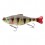 LEURRE SAVAGE GEAR 3D HARD PULSETAIL ROACH