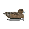 FORME STEPALND CANARD SARCELLE HD MOUSSE