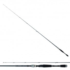 CANNE DAIWA EXCELER SPINNING