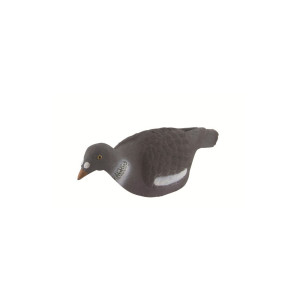 FORME STEPLAND PIGEON ANGLAIS