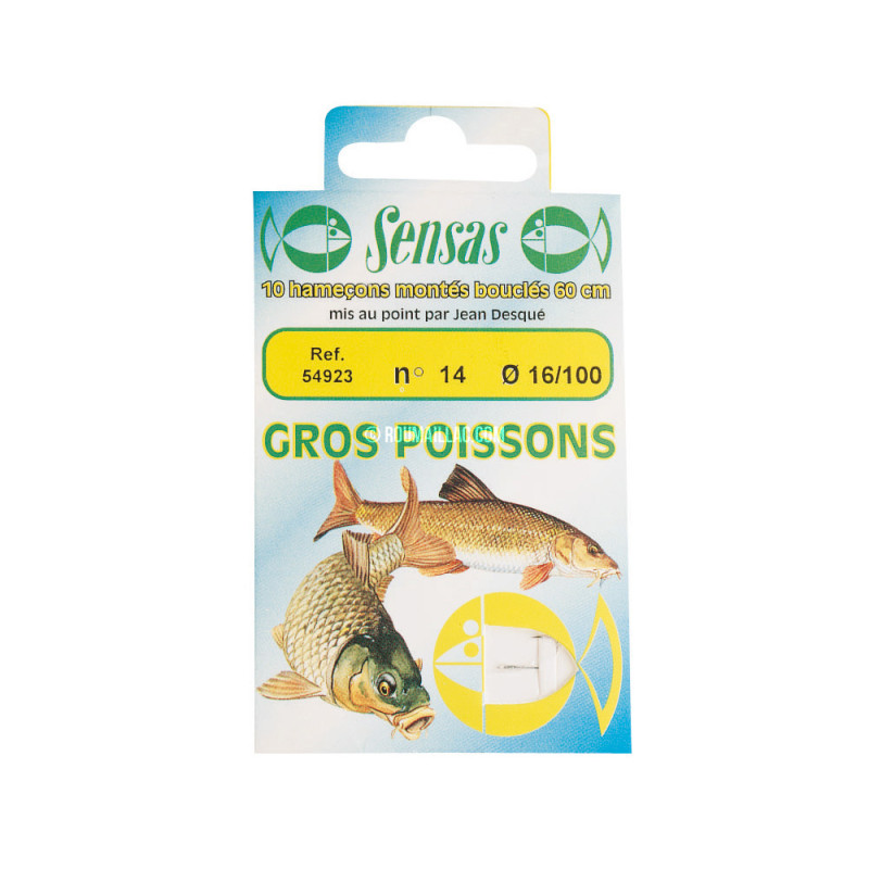 Special gros poissons