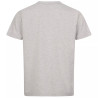 T-SHIRT BLASER ALLGAU MOUNTAIN GRIS