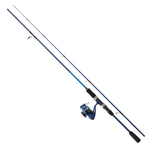 ENSEMBLE DAIWA SET D'WAVE...