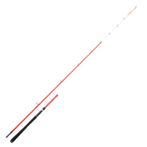 CANNE DAIWA SENSOR PALANGROTTE