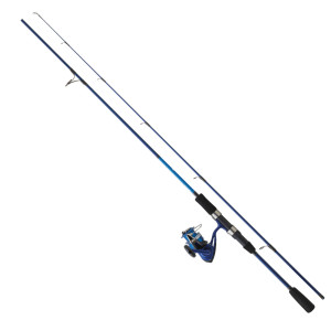 ENSEMBLE DAIWA SET D'WAVE...