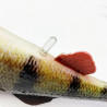 LEURRE SOUPLE SAVAGE GEAR 4D PERCH SHAD