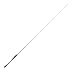 CANNE DAIWA STEEZ AGS SPINNING