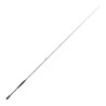 CANNE DAIWA STEEZ AGS SPINNING