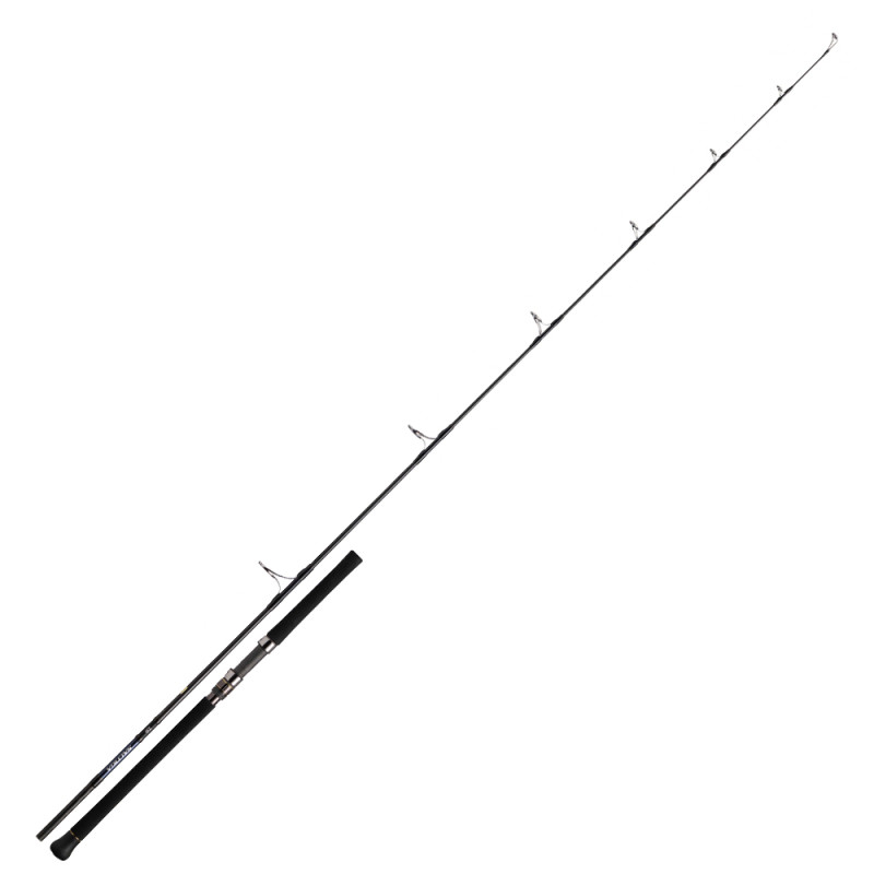 CANNE DAIWA SALTIGA 85-8