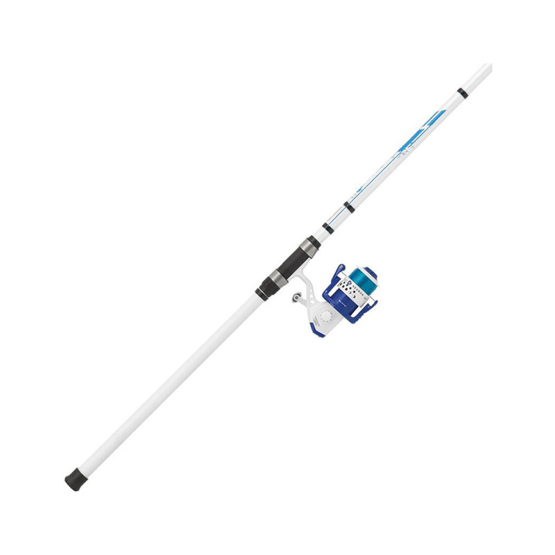 ENSEMBLE SURFCASTING MITCHELL NEURON