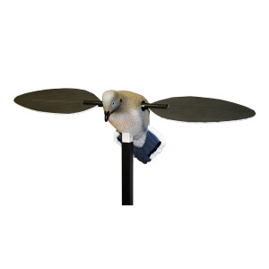 APPELANT TOURTERELLE A AILE TOURNANTE MOJO