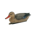 FORME APPELANT COLVERT FEMELLE