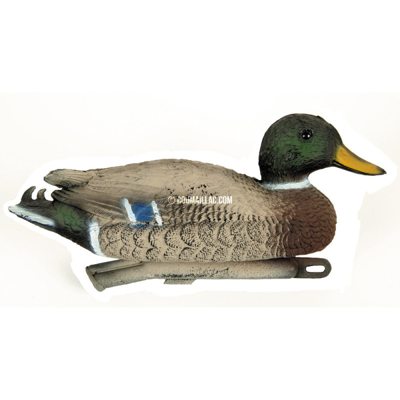 FORME APPELANT COLVERT MALE