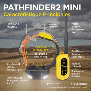 COLLIER DOGTRA PATHFINDER 2