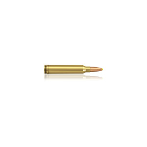 MUNITIONS BALLES NORMA 30-06 SP PLASTIC POINT