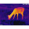 MONOCULAIRE THERMIQUE PIXFRA SÉRIE RANGER