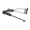 CARABINE CHIAPPA FIREARMS LITTLE BADGER