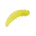 TEIGNES PLASTIQUES BERKLEY