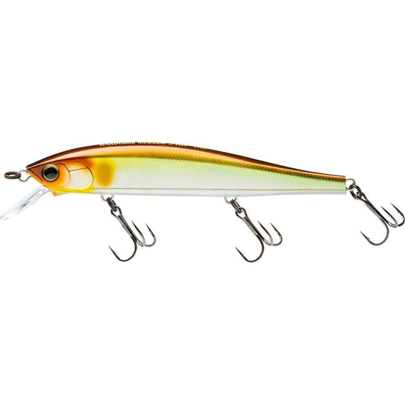 LEURRE DUEL HARDCORE MINNOW FLAT 110