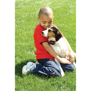 COLLIER ANTI-ABOIEMENTS PETSAFE PBC19-10765