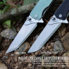 COUTEAU TACRAY LAMES INTERCHANGEABLES MANCHE JADE