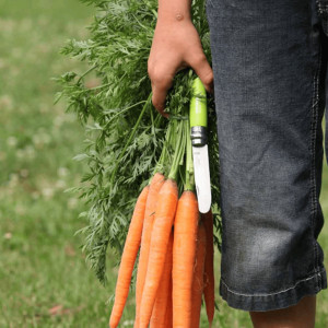 COUTEAU MON PREMIER OPINEL POMME
