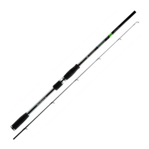 CANNE SPINNING FAVORITE X1