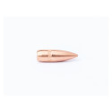 OGIVES BALLEUROPE CAM PRO BT FMJ CALIBRE 223