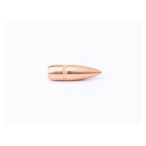 OGIVES BALLEUROPE CAM PRO BT FMJ CALIBRE 223