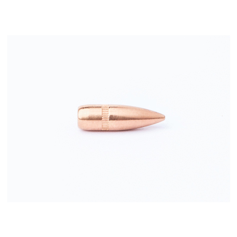 OGIVES BALLEUROPE CAM PRO BT FMJ CALIBRE 223