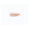 OGIVES BALLEUROPE CAM PRO BT FMJ CALIBRE 223