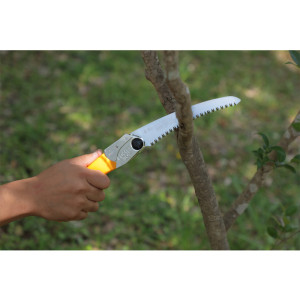 SCIE POCKETBOY CURVE PROFESSIONNEL