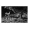 CAMERA REOLINK 4K 4G LTE GO RANGER PT