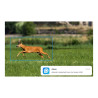 CAMERA REOLINK 4K 4G LTE GO RANGER PT