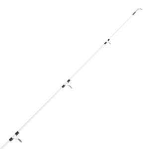 ENSEMBLE MITCHELL NEURON BOAT COMBO